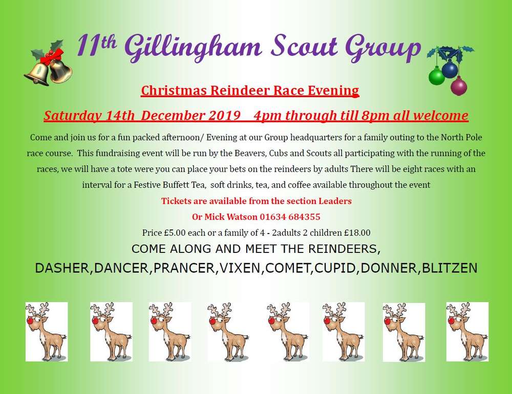 Reindeer Racing